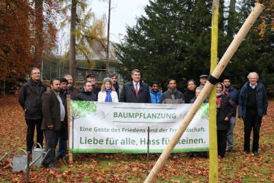 friedensbaum01.jpg