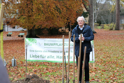 friedensbaum06.jpg